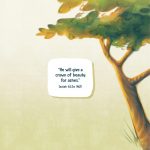 Book preview