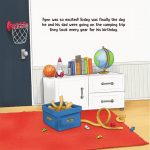 Book preview